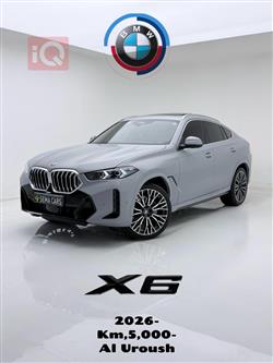 بي ام دبليو X6